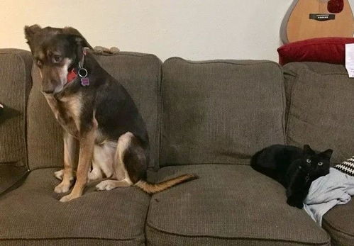 老刘箱包只卖好货