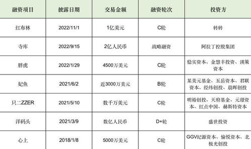 奢侈品开箱表格模板
