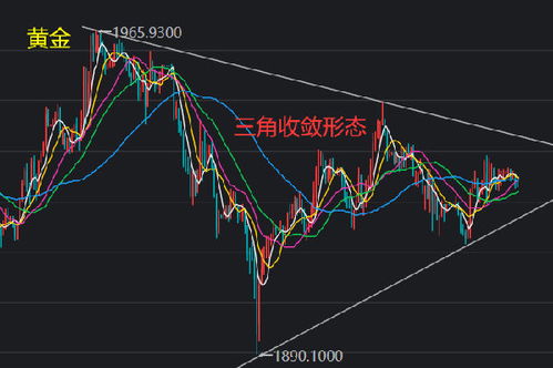 东莞箱包厂招聘信息